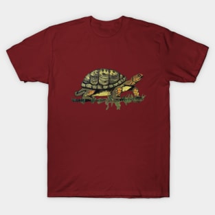 Painted Turtle T-Shirt